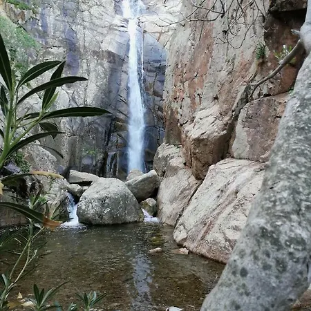 Il Giardino All'angolo *