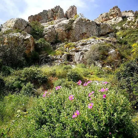 Apartamento Il Giardino All'angolo *
